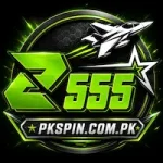z555 Game