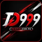 FD999 Game