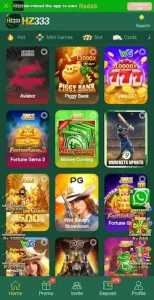 HZ333 Game