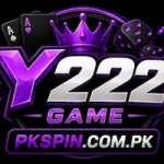 Y222 Game